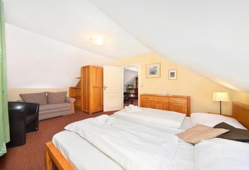 סוויטה משפחתית, Erika