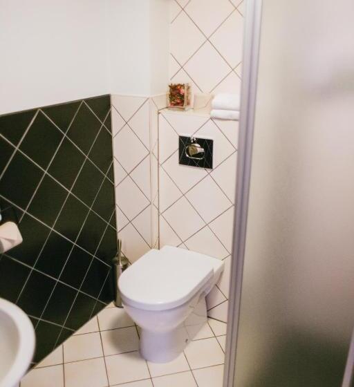 اتاق استاندارد یک نفره, Kuldigas Metropole