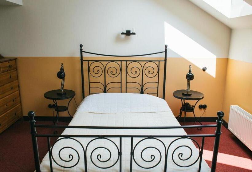 اتاق استاندارد یک نفره, Kuldigas Metropole