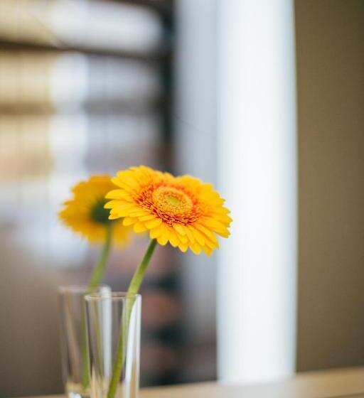 اتاق استاندارد, Kuldigas Metropole