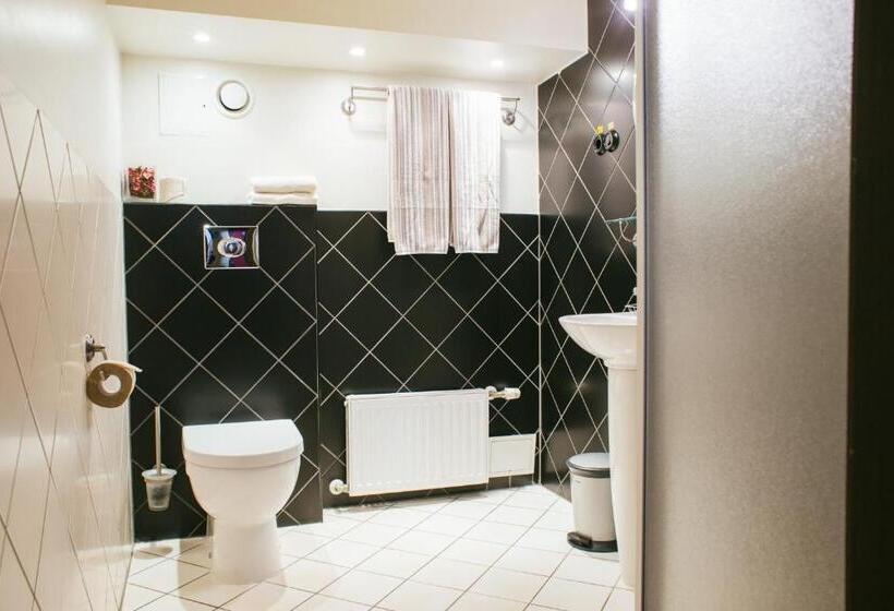 اتاق استاندارد, Kuldigas Metropole