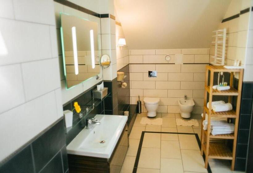 اتاق سوپریور با تخت بزرگ, Kuldigas Metropole