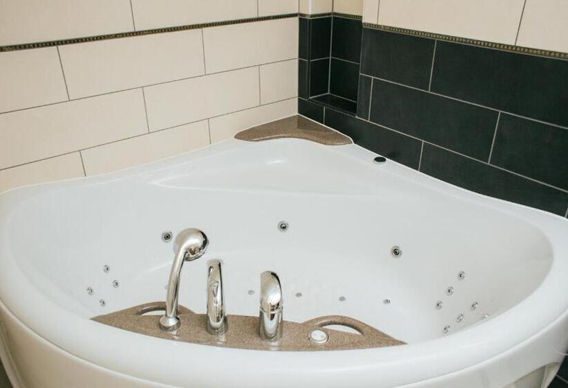 اتاق سوپریور با تخت بزرگ, Kuldigas Metropole