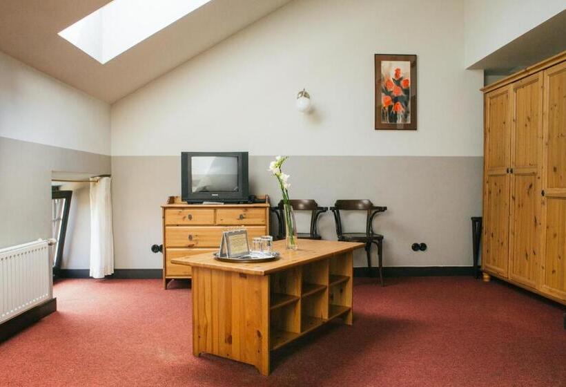 اتاق استاندارد, Kuldigas Metropole