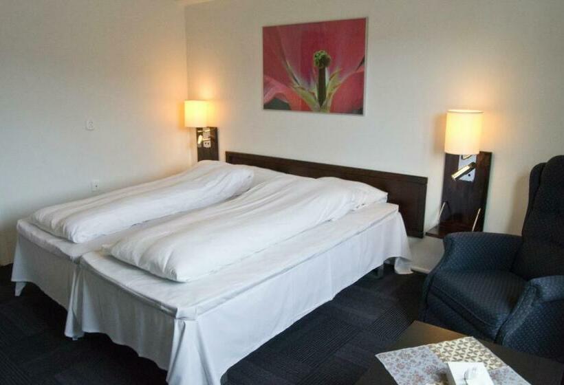 Habitació Estàndard, Moi