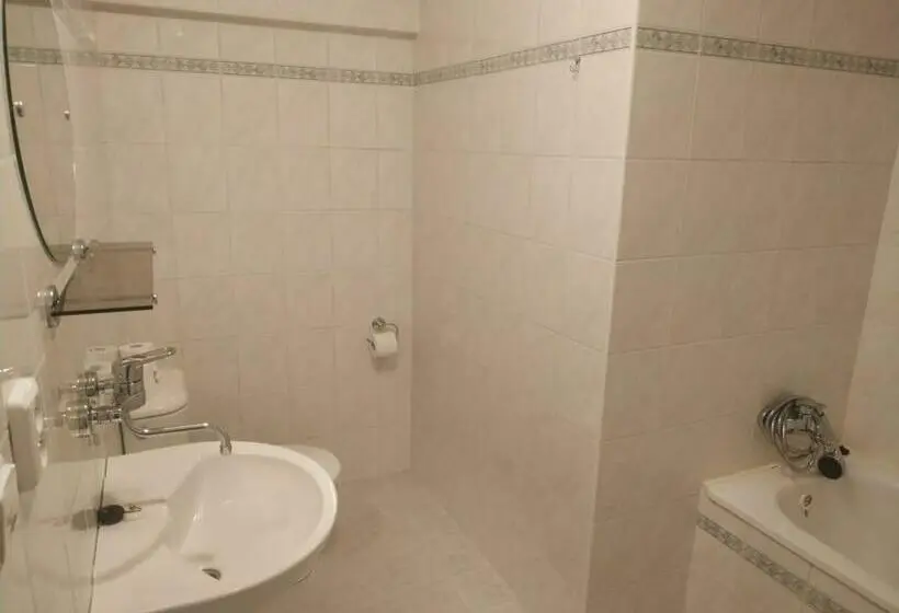 Standard-huone, Panský Dům