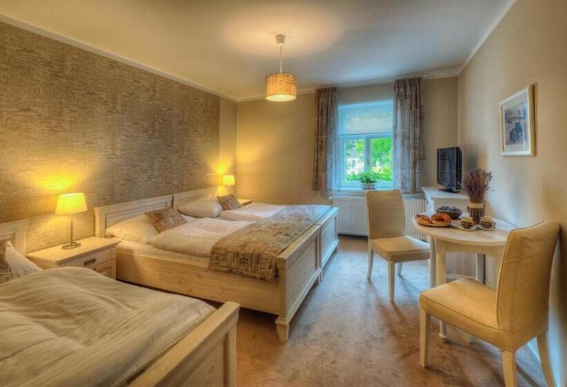 Номер Стандарт Трехместный, Panský Dům