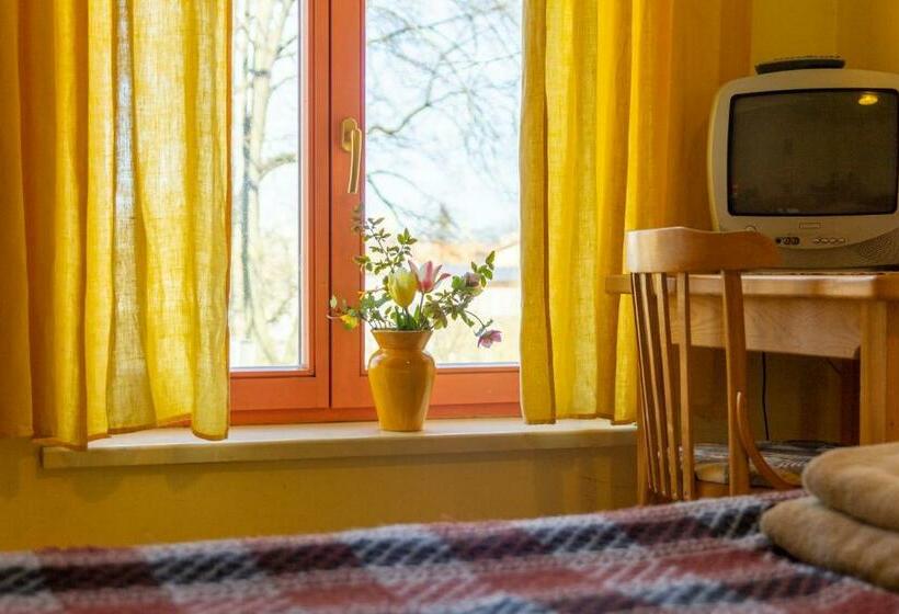 اتاق استاندارد, Raibie Logi