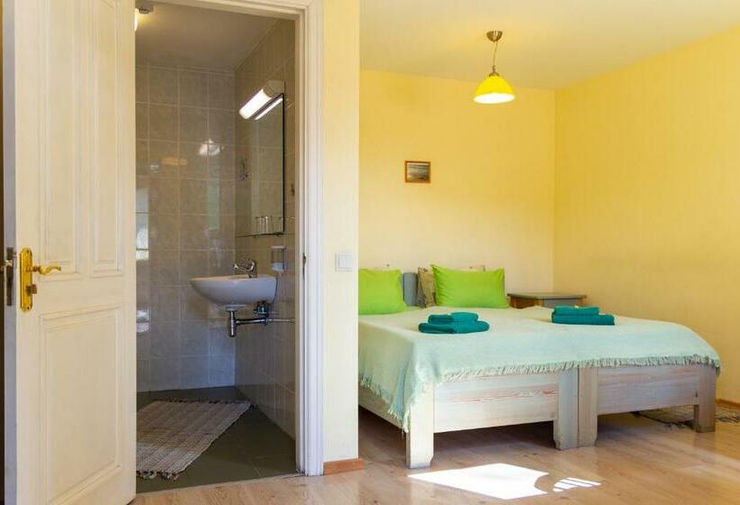 اتاق استاندارد, Raibie Logi