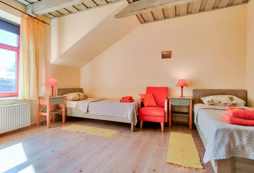 اتاق استاندارد, Raibie Logi