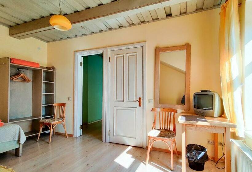 اتاق استاندارد, Raibie Logi