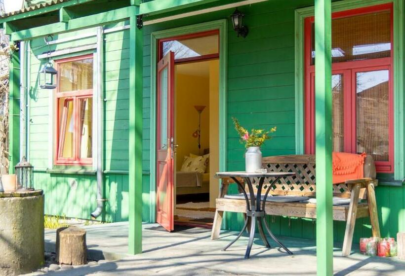 اتاق استاندارد یک نفره, Raibie Logi