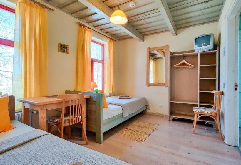 اتاق استاندارد, Raibie Logi