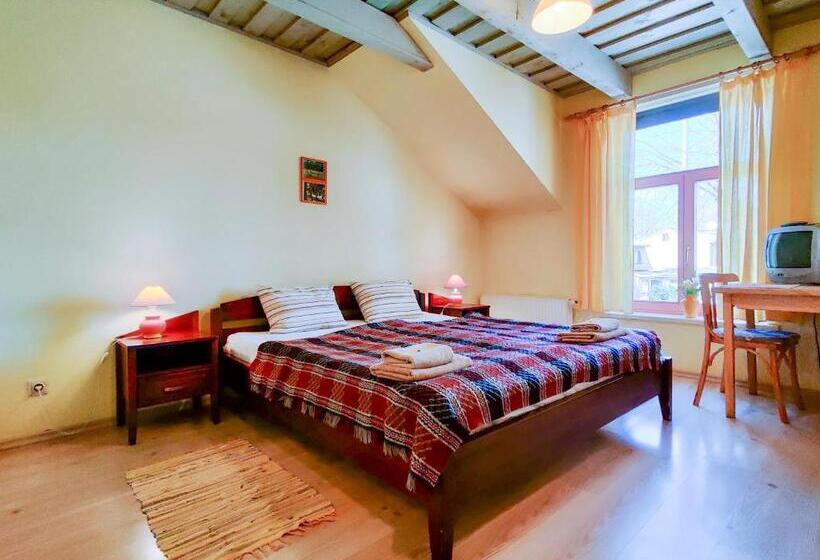 اتاق استاندارد, Raibie Logi