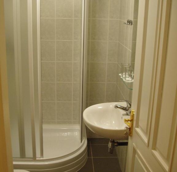 اتاق استاندارد سه نفره, Raibie Logi