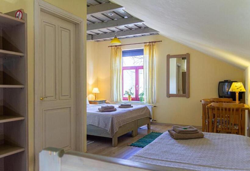 اتاق استاندارد سه نفره, Raibie Logi