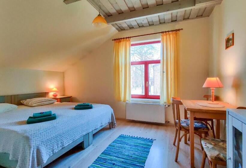 اتاق استاندارد چهار تخته, Raibie Logi