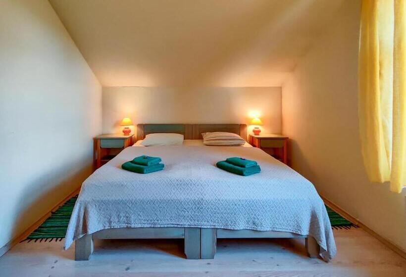 اتاق استاندارد چهار تخته, Raibie Logi