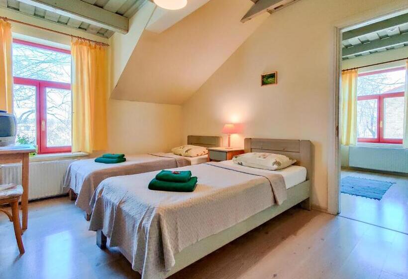 اتاق استاندارد چهار تخته, Raibie Logi