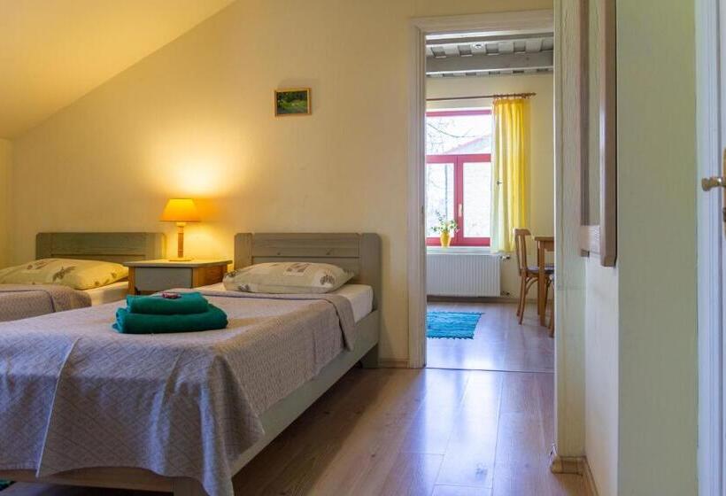 اتاق استاندارد چهار تخته, Raibie Logi