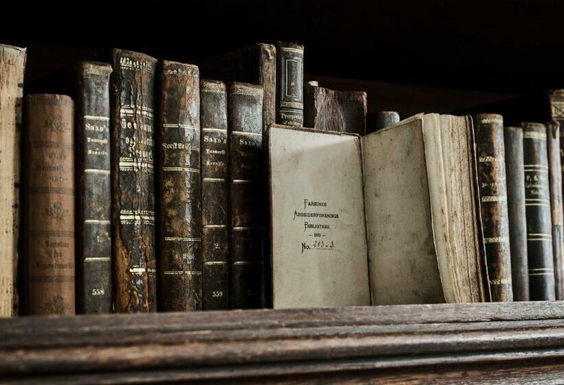 סוויטה, Rederiet