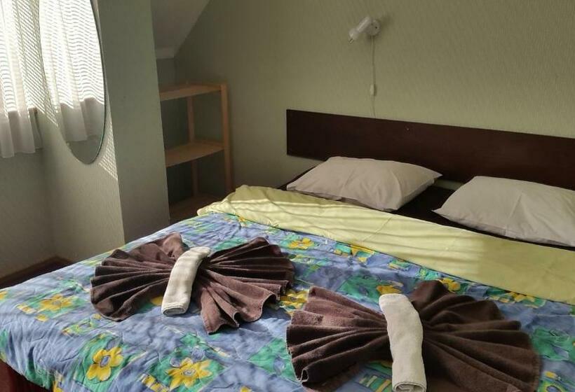 اتاق استاندارد با سرویس بهداشتی مشترک, Terve Hostel