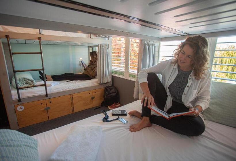 Deluxe Neljän Hengen Huone, Absoloot Hostel Queenstown