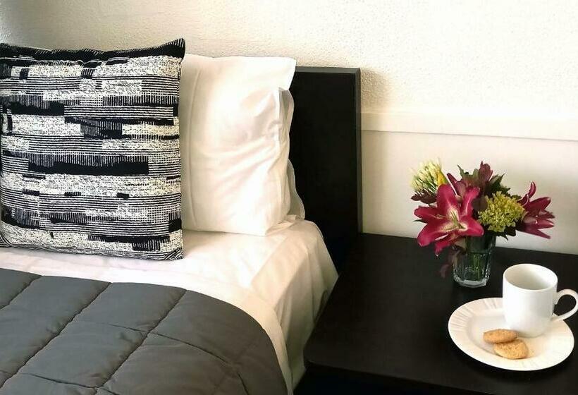 Номер Стандарт, Alexander Motel