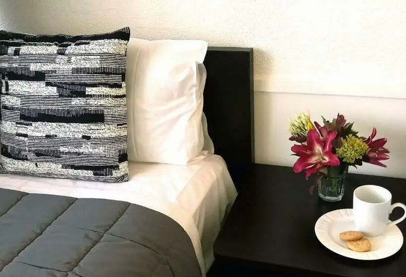 Standard-huone, Alexander Motel
