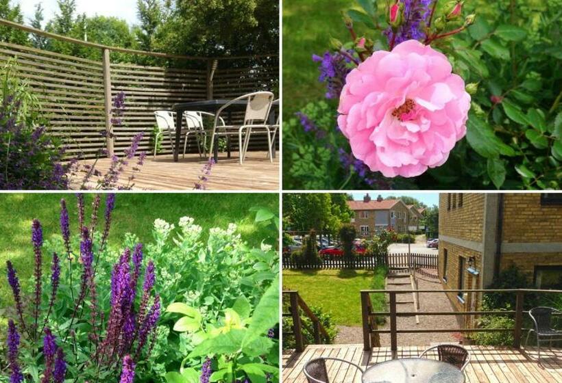 Номер Стандарт, Aurora Bed & Breakfast