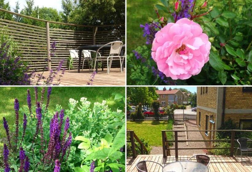 Трехместный Номер Стандарт Совместная Ванная, Aurora Bed & Breakfast