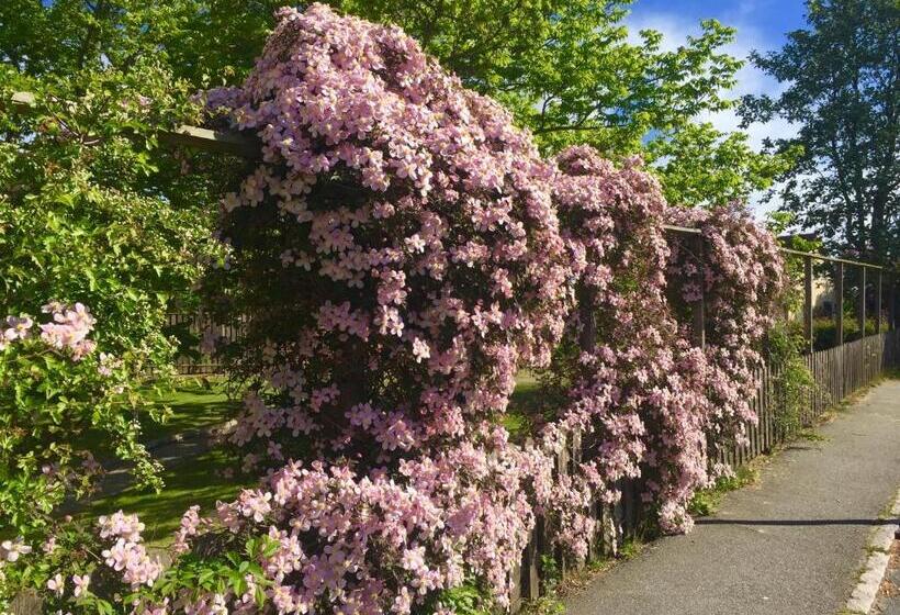 Номер Стандарт, Aurora Bed & Breakfast