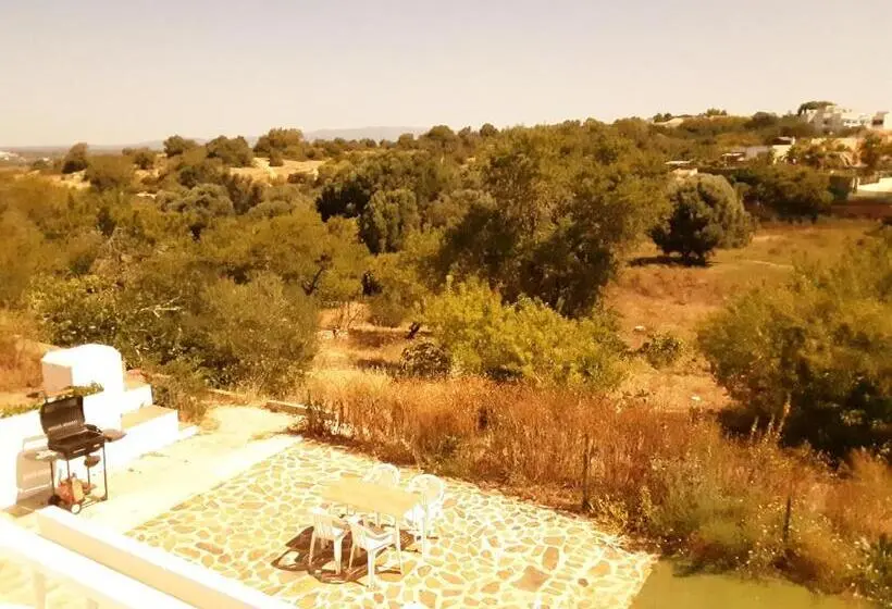 テラス付きスタンダードワンルーム, Alvor Ar De Mar