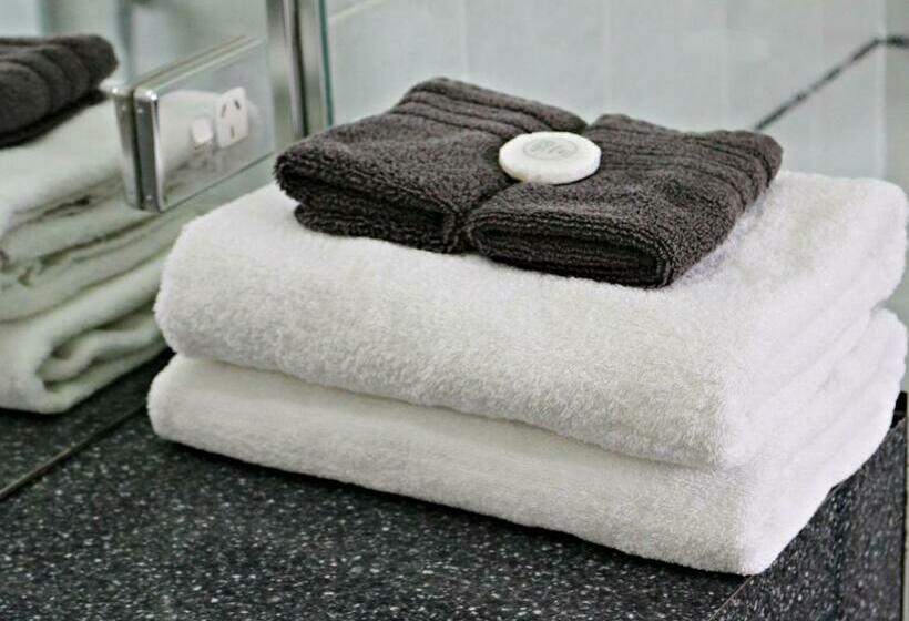 带大床的标准工作室, Cambridge Mews Motel