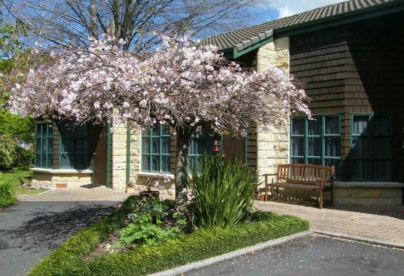 스탠다드 스튜디오 킹침대, Cambridge Mews Motel