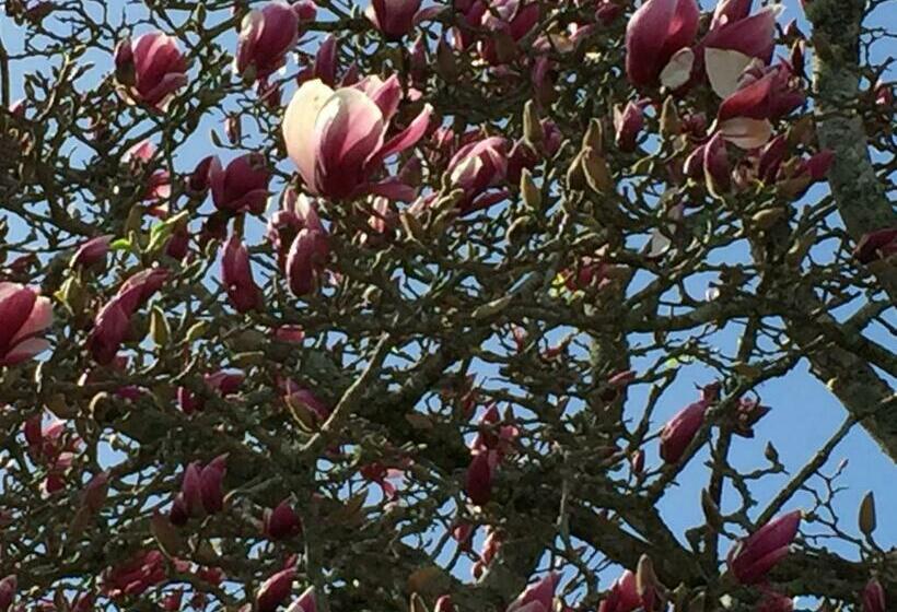 스탠다드 룸 킹사이즈 침대, Chelsea House Bed & Breakfast