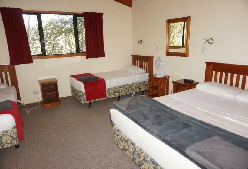 דירת שני חדרים, Geraldine Motels