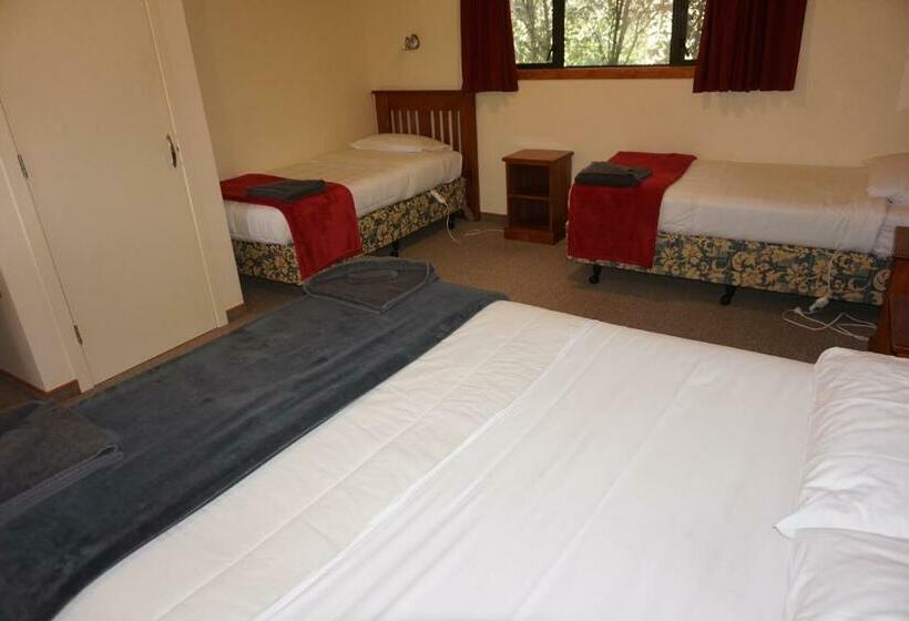 דירת שני חדרים, Geraldine Motels