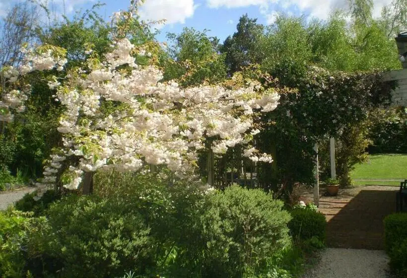 Economy-huone, Harrogate Gardens Motel