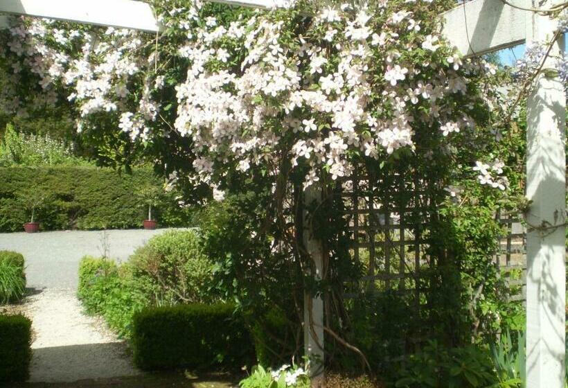 이코노미 룸, Harrogate Gardens Motel