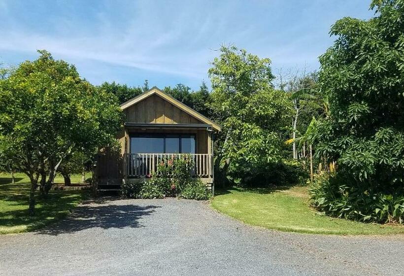 کلبه ییلاقی, Kerigold Secluded Chalets Motel