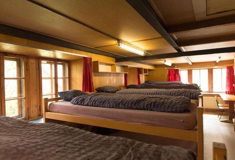 מיטה בחדר משותף, Gasthaus Pension Zum Turm