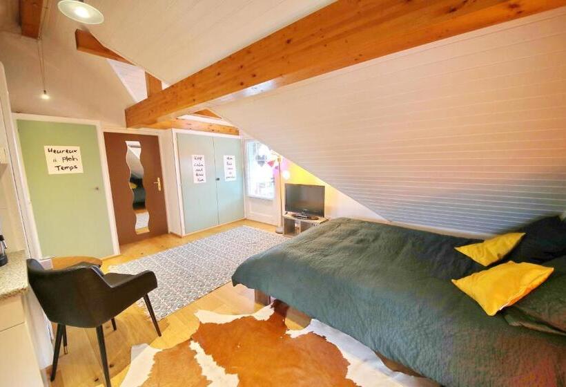 Standard studio with lake view, Corseaux Beach