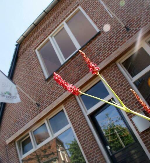 شقة غرفتين, B&b Stadslodge De Meiboom