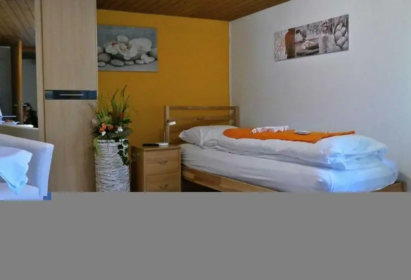Standard Yhden Hengen Huone, Freihof Embrach