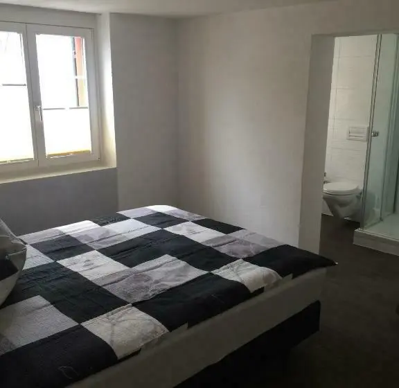 Deluxe Yhden Hengen Huone, Bären Amriswil