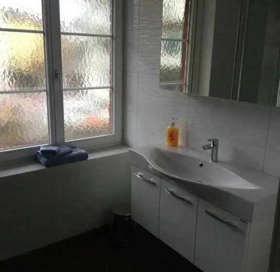 Deluxe Yhden Hengen Huone, Bären Amriswil