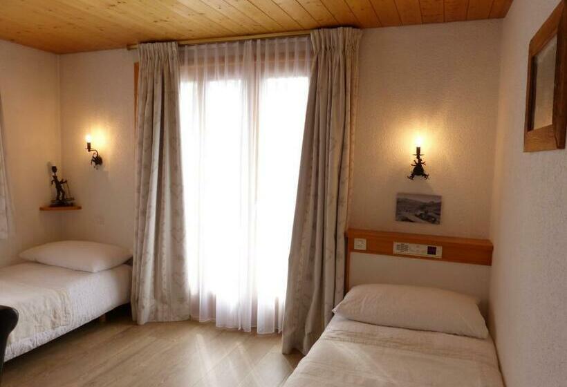 חדר סטנדרט עם נוף, Ermitage Verbier