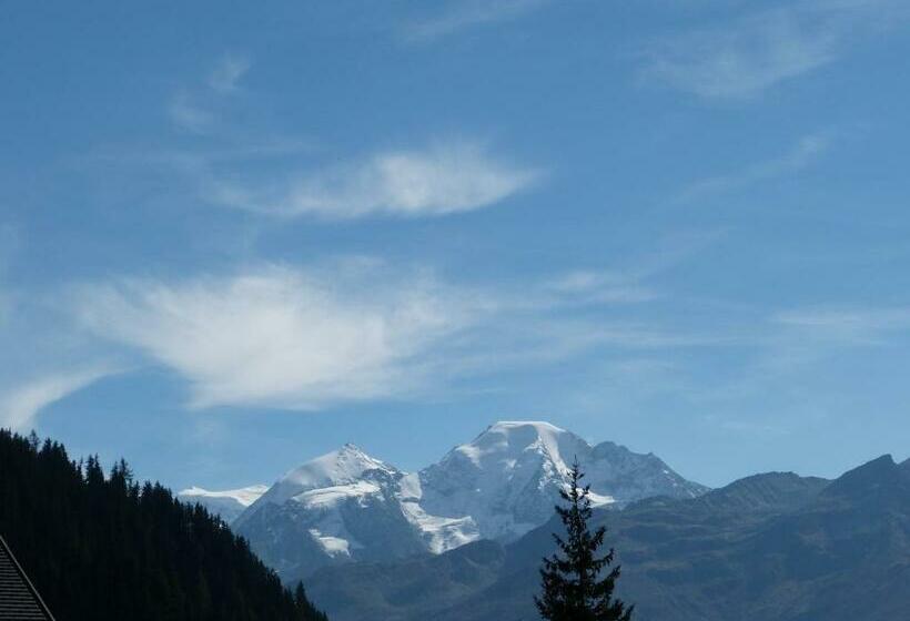 חדר סטנדרט עם נוף, Ermitage Verbier