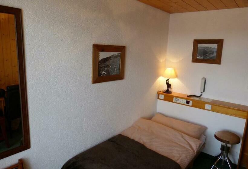 חדר סטנדרט יחיד עם נוף, Ermitage Verbier